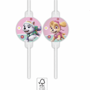 Party straws Skye and Everest (Skye & Everest) Skye - 4 pieces